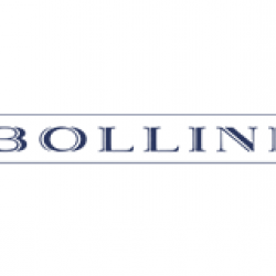 bollini